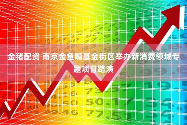 金猪配资 南京金鱼嘴基金街区举办新消费领域专题项目路演