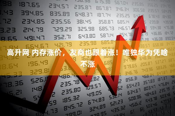 高升网 内存涨价，友商也跟着涨！唯独华为凭啥不涨